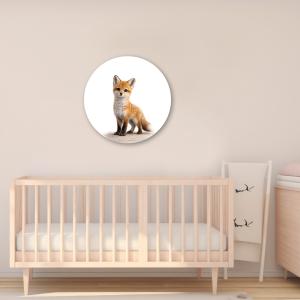 Muurcirkel schattige Vos