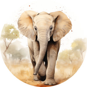 Muurcirkel Olifant watercolor