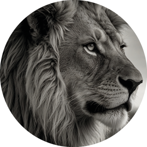 Muurcirkel Leeuwenkop zwart/wit