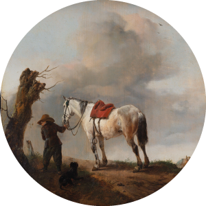 Muurcirkel De schimmel