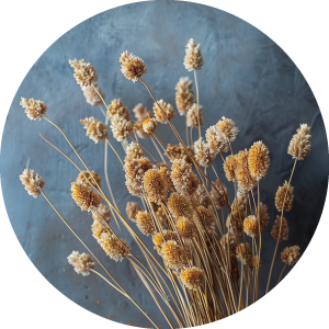 Muurcirkel Beige boeket droogbloemen op vaas